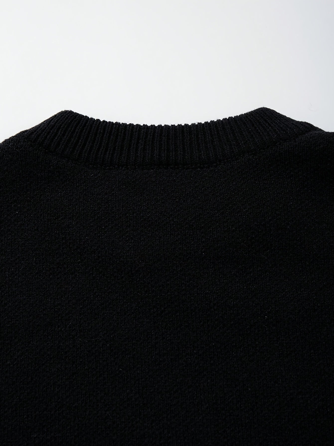 Oversized Dinosaur Embroidered Crewneck Sweater